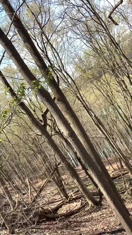 66XshayXshayX1 Nature Pee