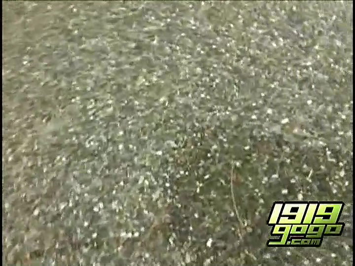 46irl sing outdoor 7