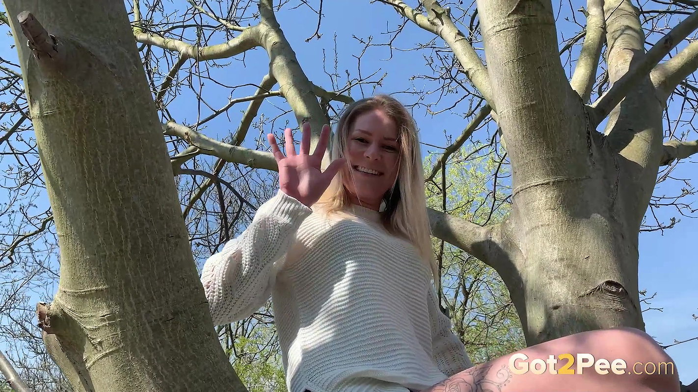 41Up In A Tree