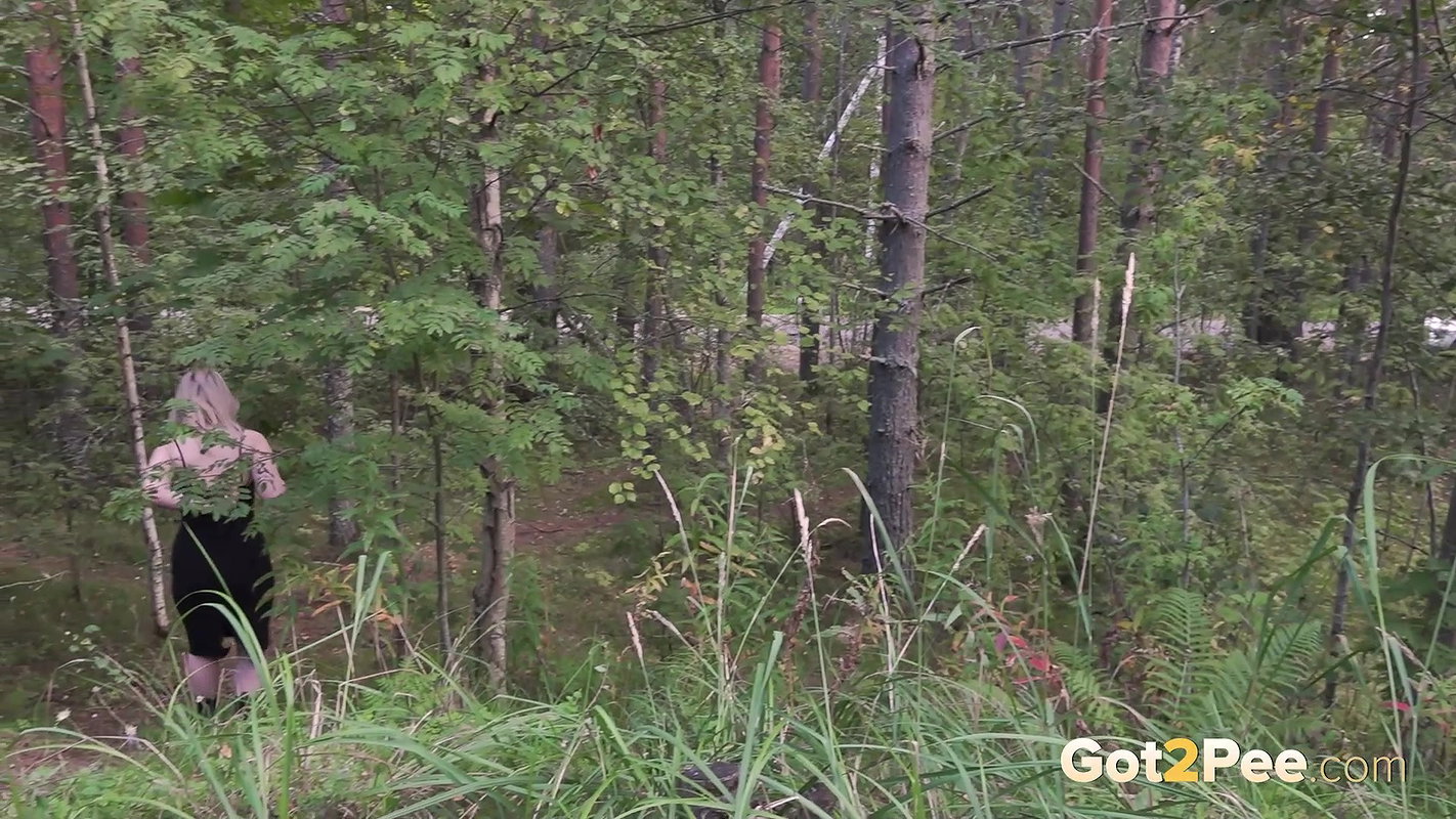 30Woodland Streams