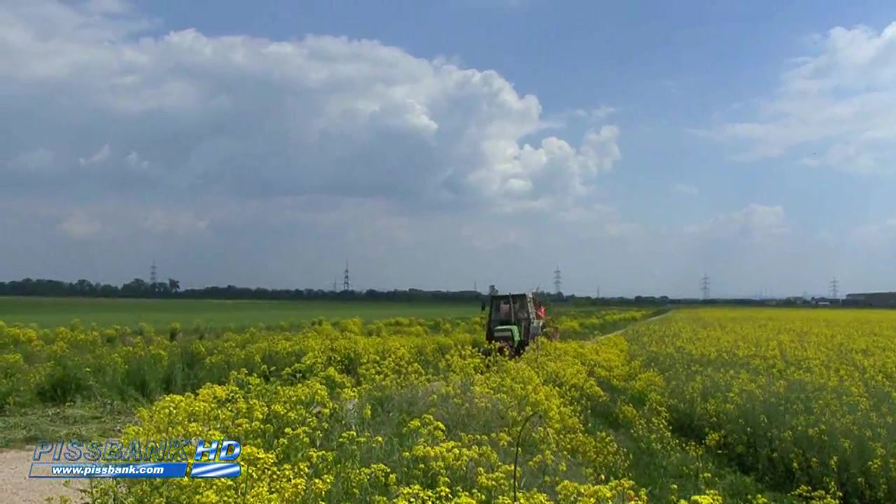 sperate peeing tractor hd
