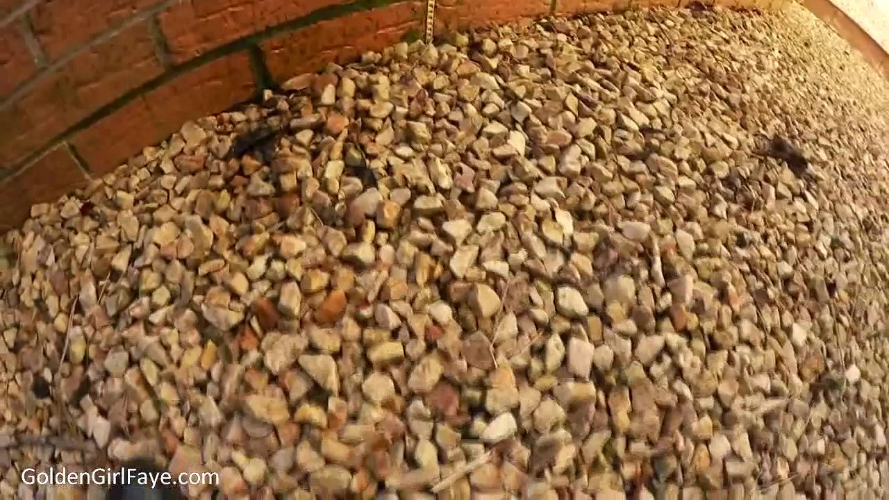 rden wall piss