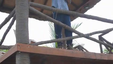 Reshmi r nair 5_6161186257478091898