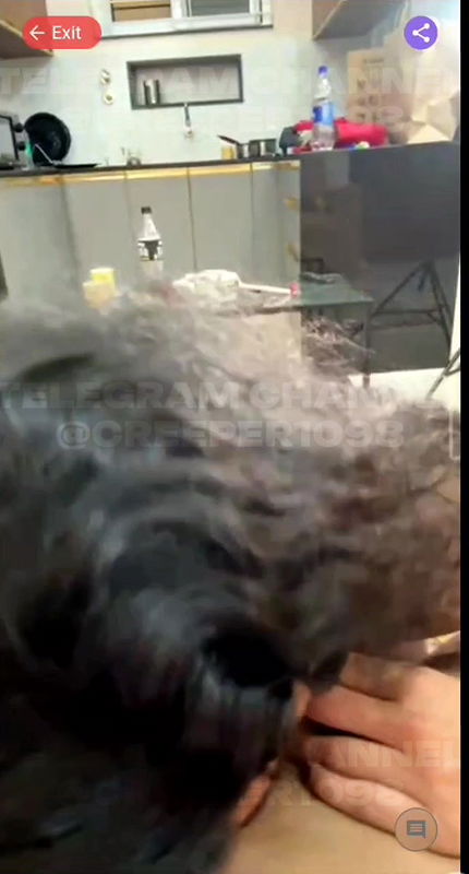 Reshmi latest couple sex bj full video part 2