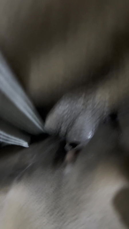 Mallu wife’s sister sex with sister’s husband