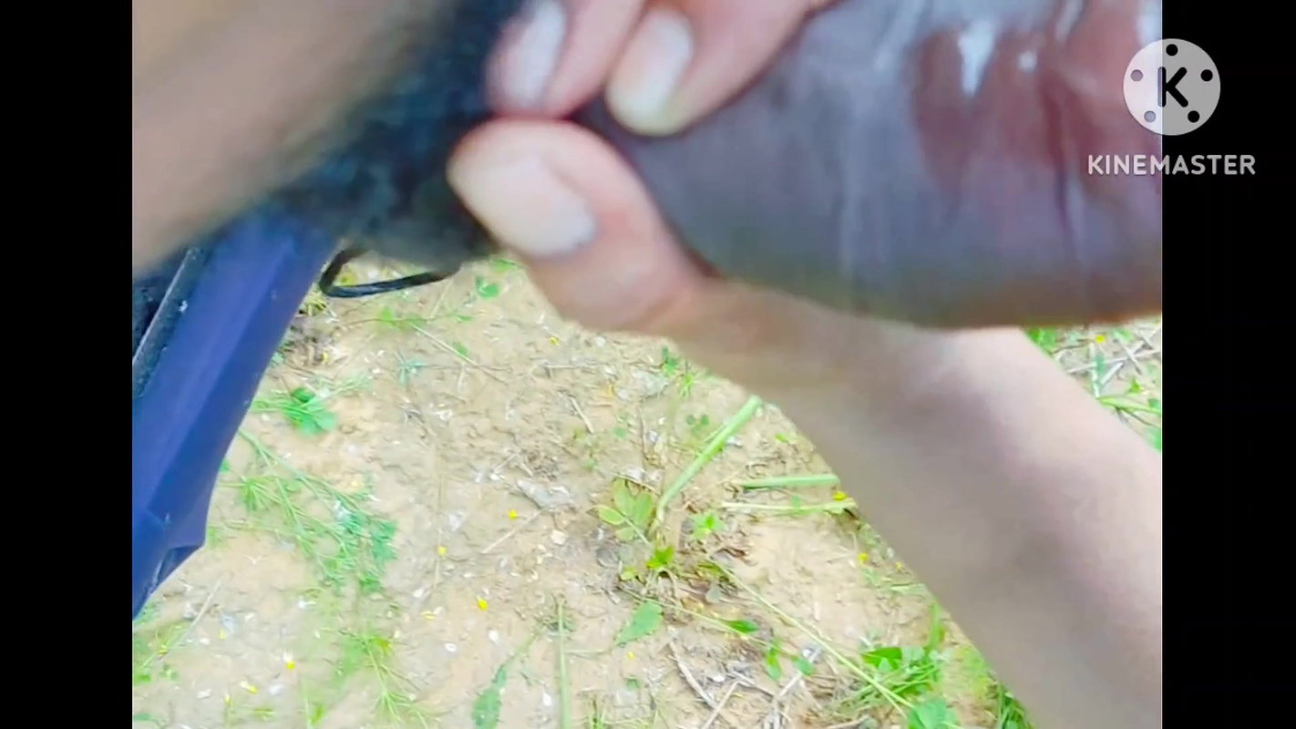 Desi girl friend sucked land in mustard field