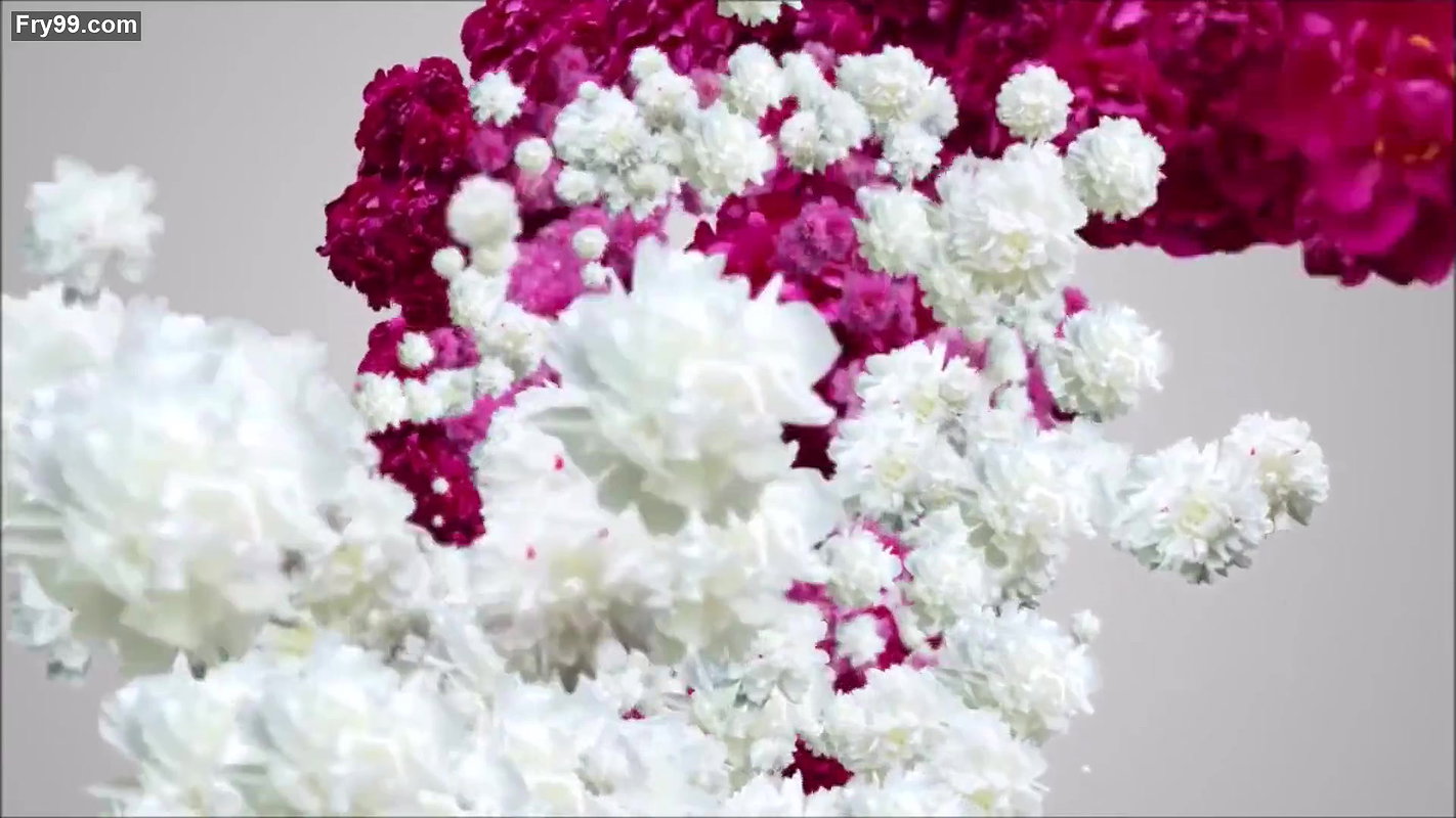 Cock And Balls Sucking Topless Beauty