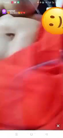 Myd Privet chamet group video collection 852025143