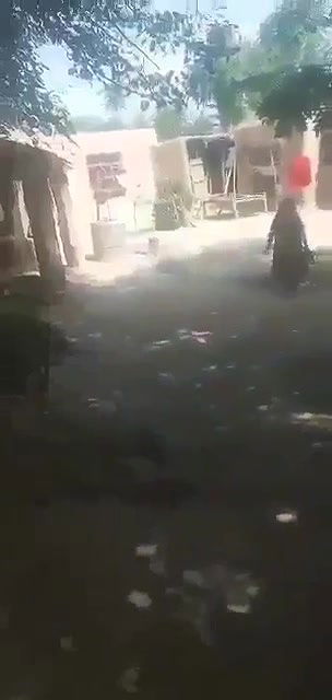 Myd pk telgram download video colection85202559