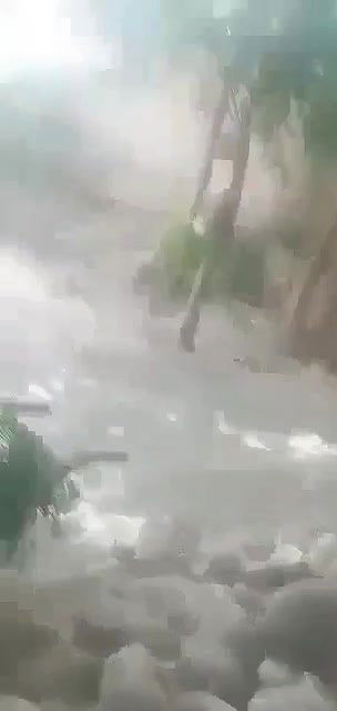 Myd pk telgram download video colection85202559