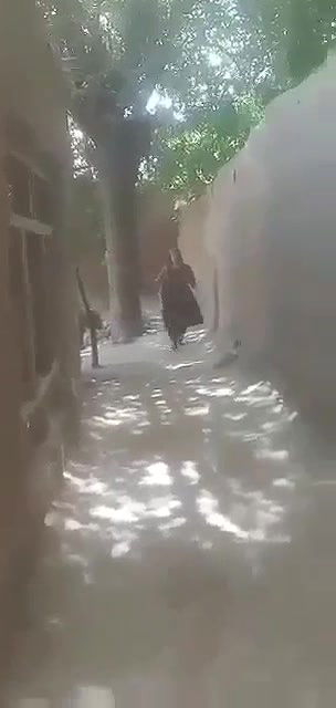 Myd pk telgram download video colection85202559