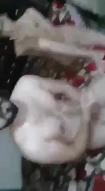 Myd pk telgram download video colection85202572