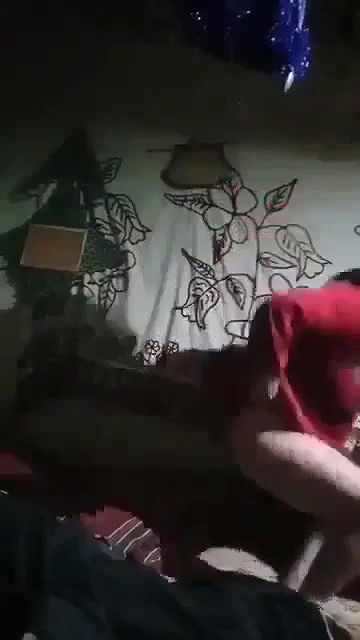 Myd pk telgram download video colection85202573