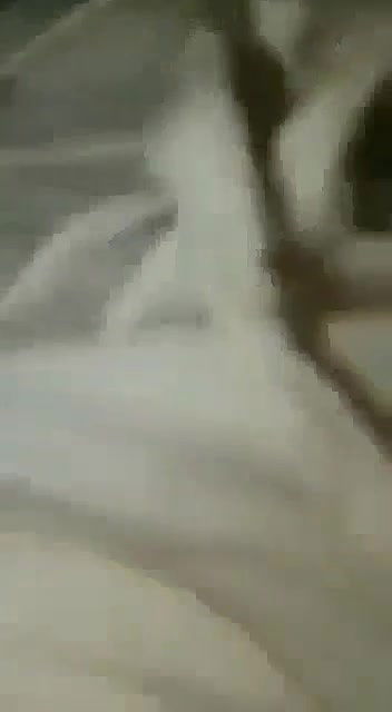 Myd pk telgram download video colection85202576