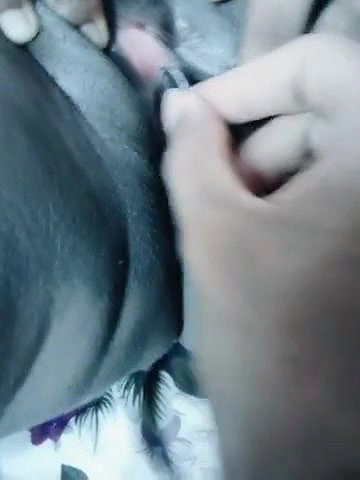 Desi Babe Inserts COIN Into PUSSY (2 Videos)