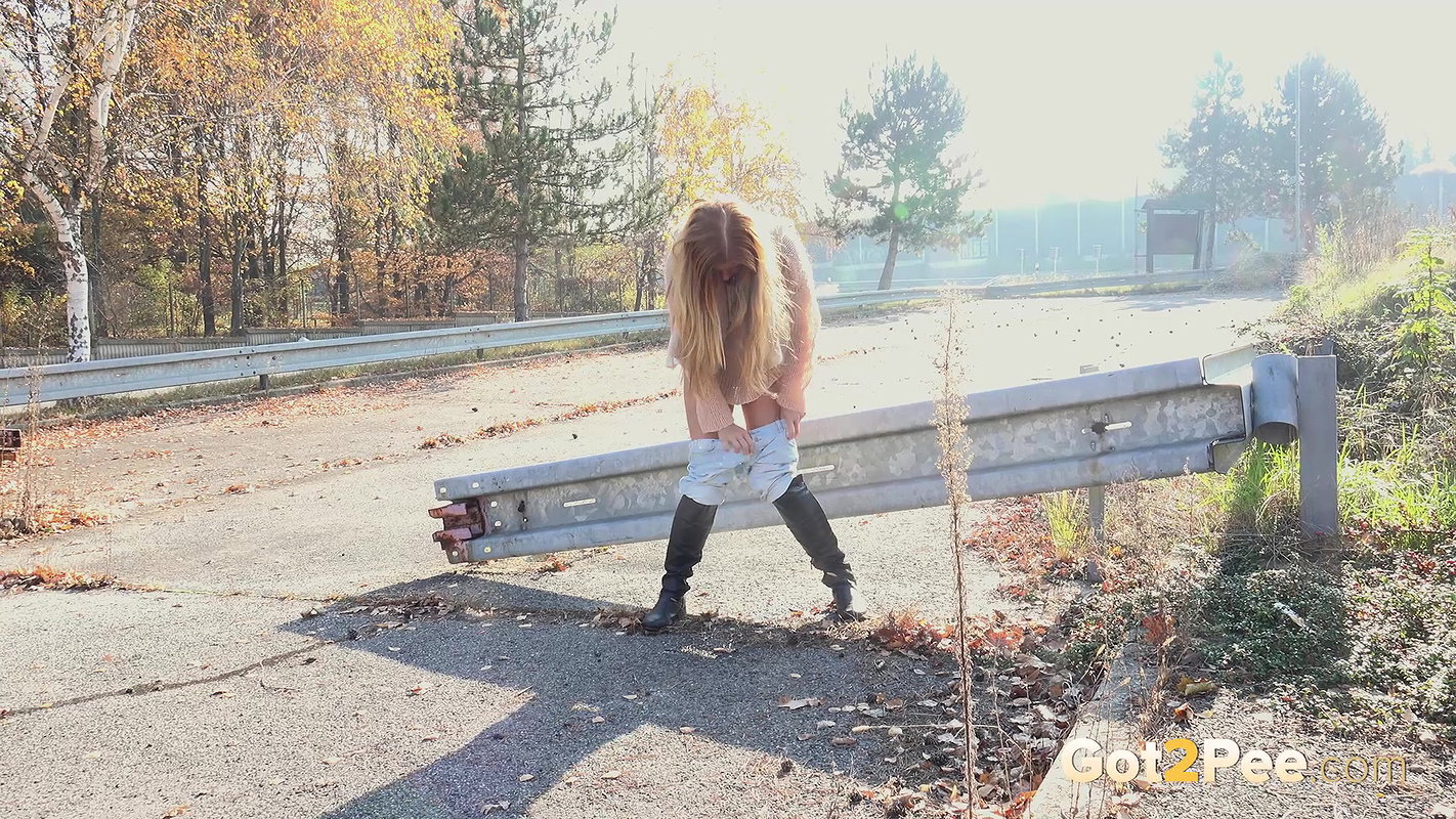 Against A Railing 1080p Got2Pee Com