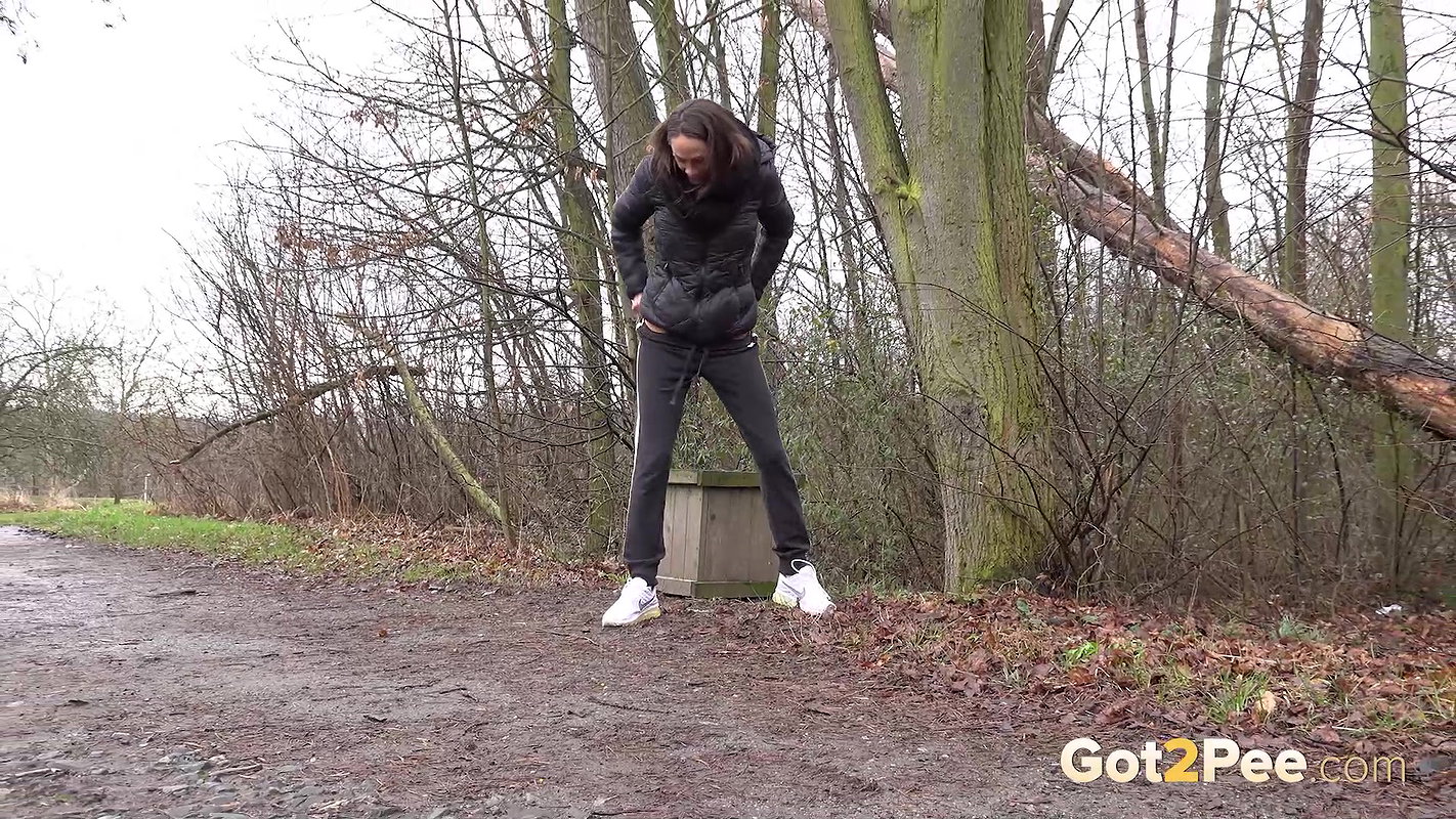 Angled Arc 1080p Got2pee