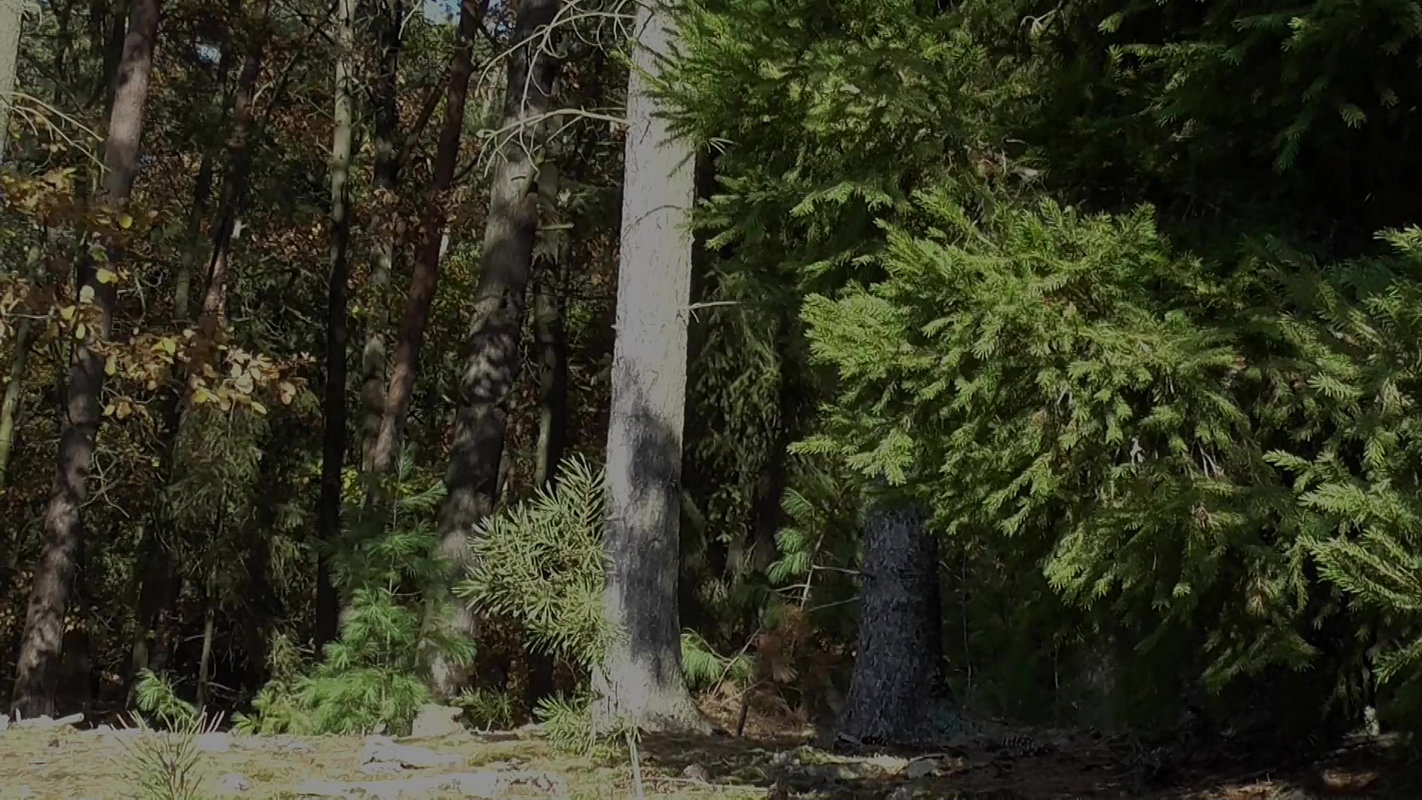 Antonia In Nature 1080p Got2Pee Com