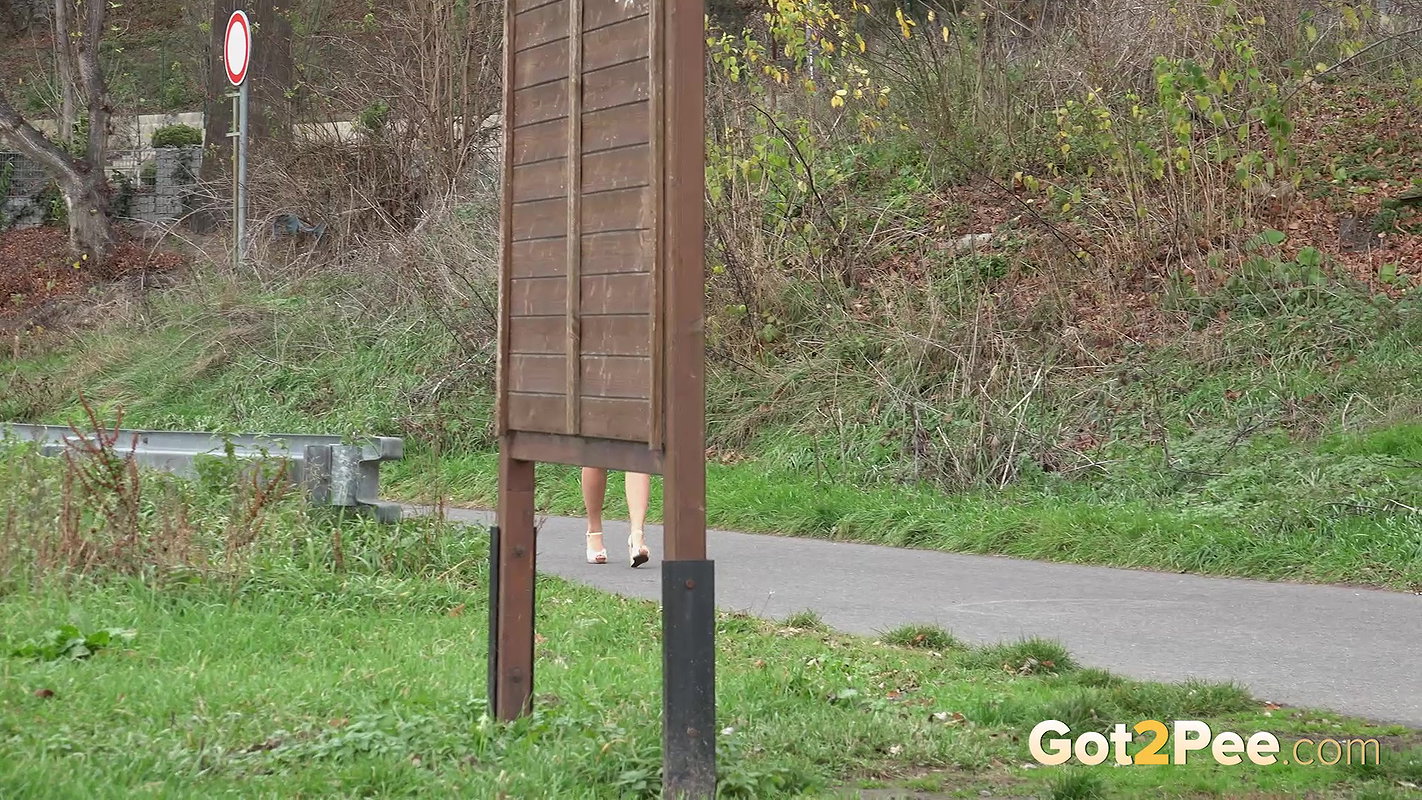 Bench Pissing 1080p Got2Pee Com