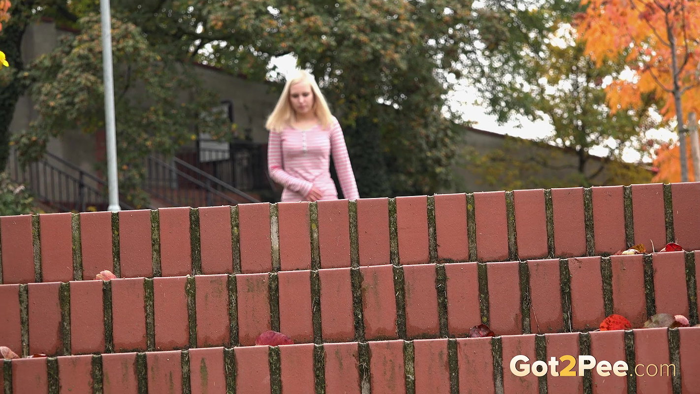 Brick Steps 1080p Got2Pee mp4
