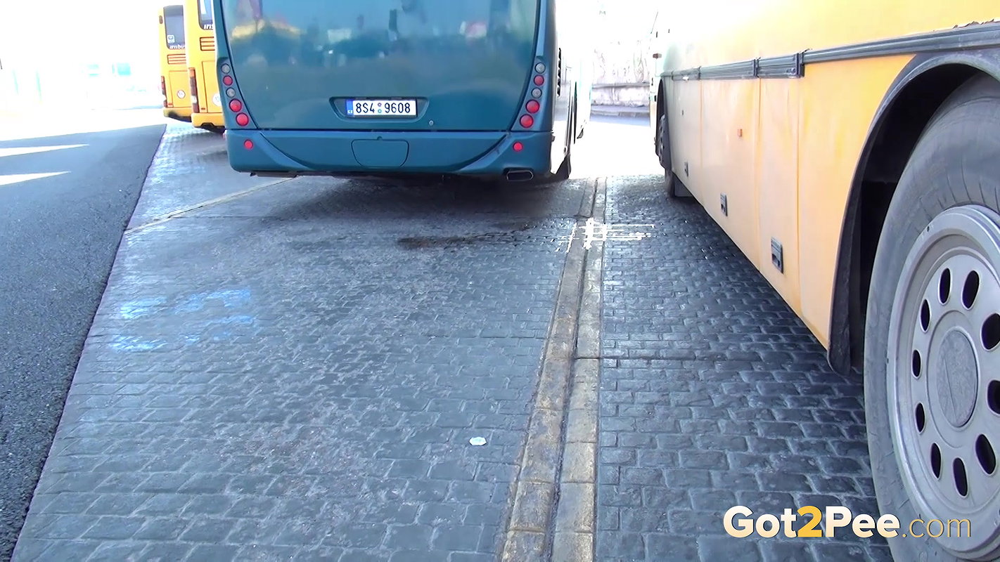 Bus Depot 1080p Got2pee Com