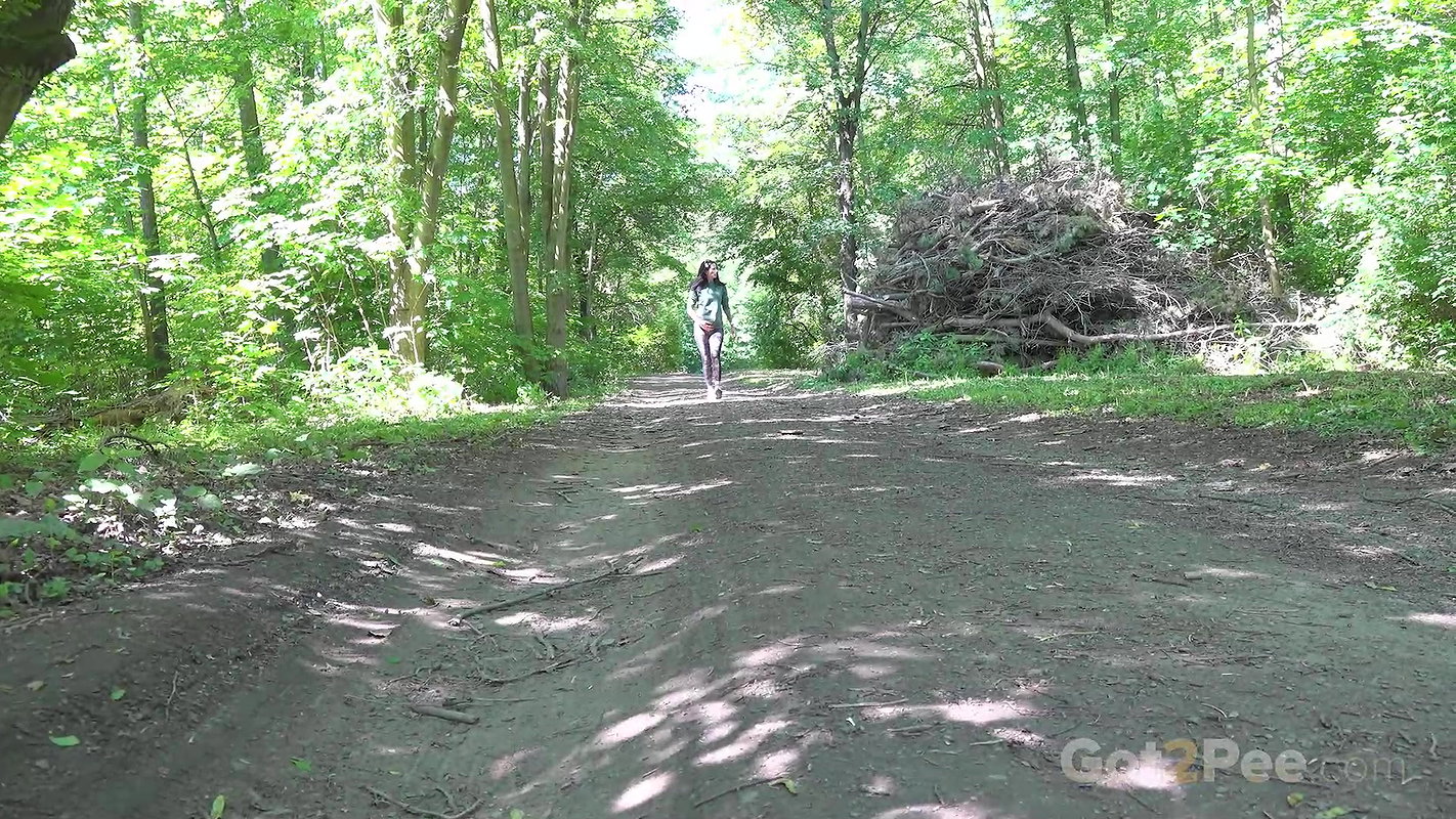 Drizzling On The Path 1080p Got2Pee