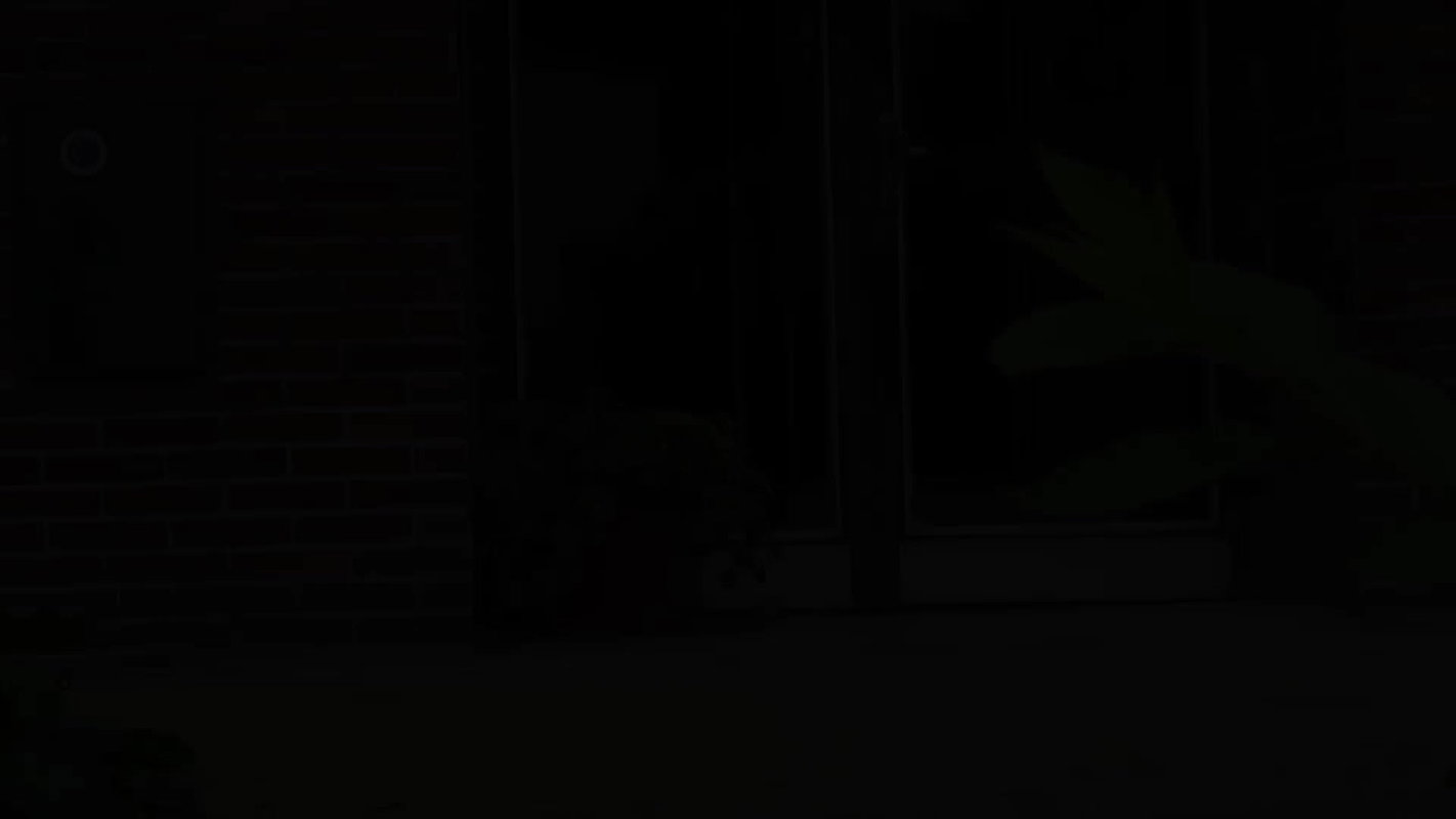 English Bricks 1080p Got2pee Com