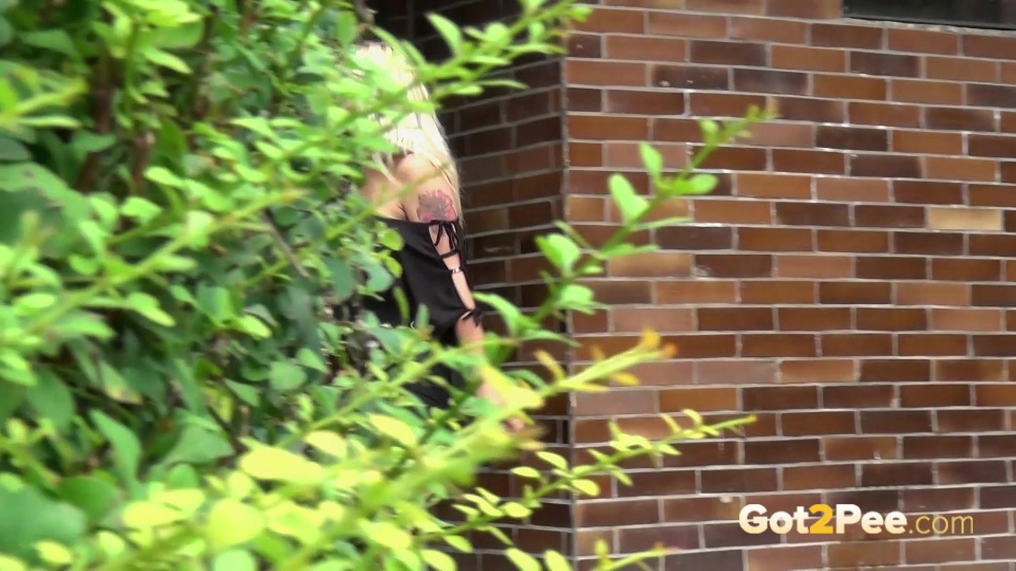 English Bricks 1080p Got2pee Com