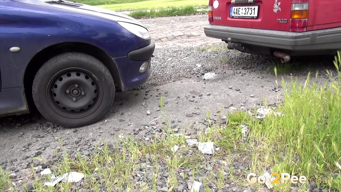 Exhaust 1080p Got2pee Com