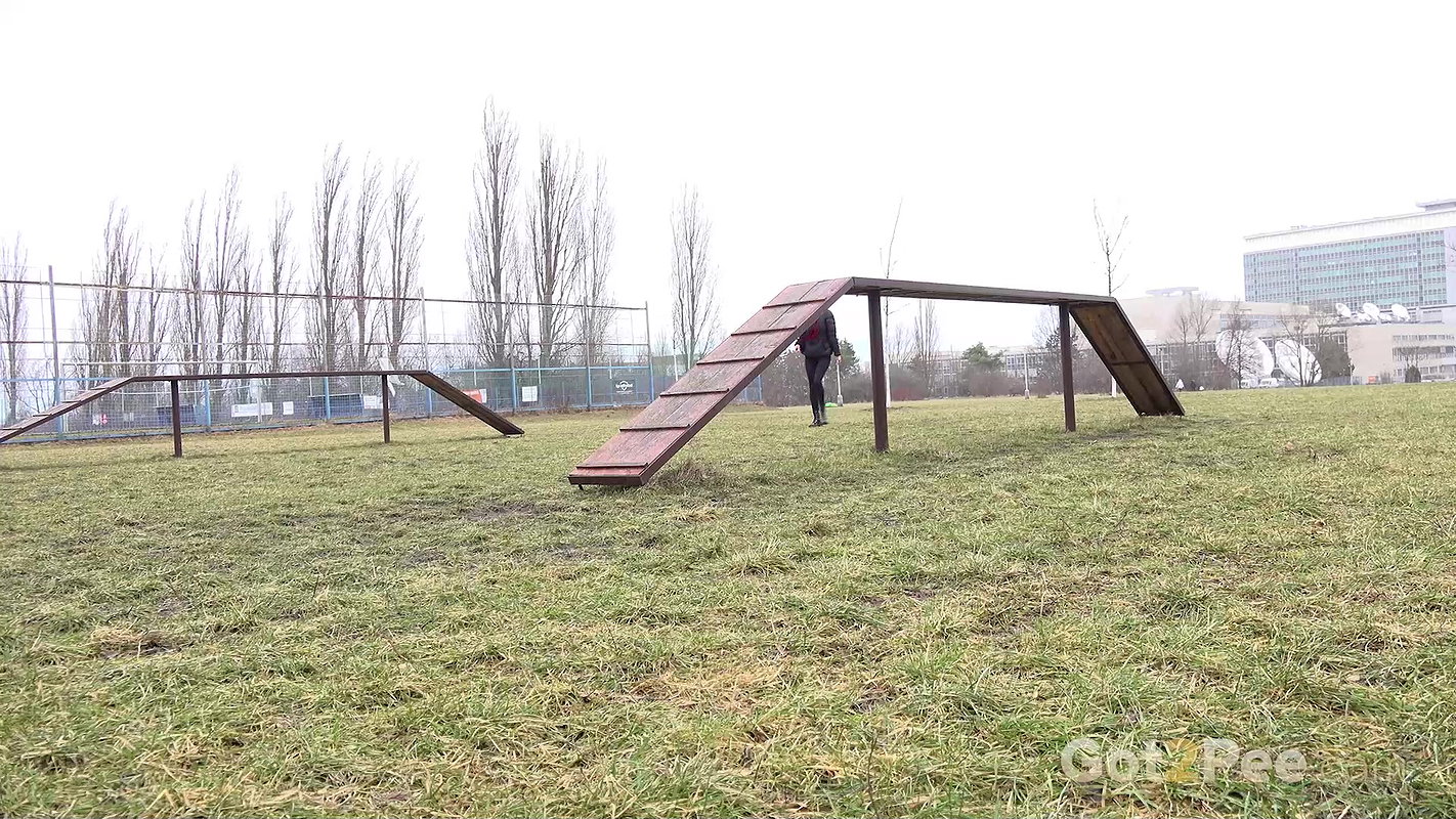 Going The Distance 1080p Got2pee