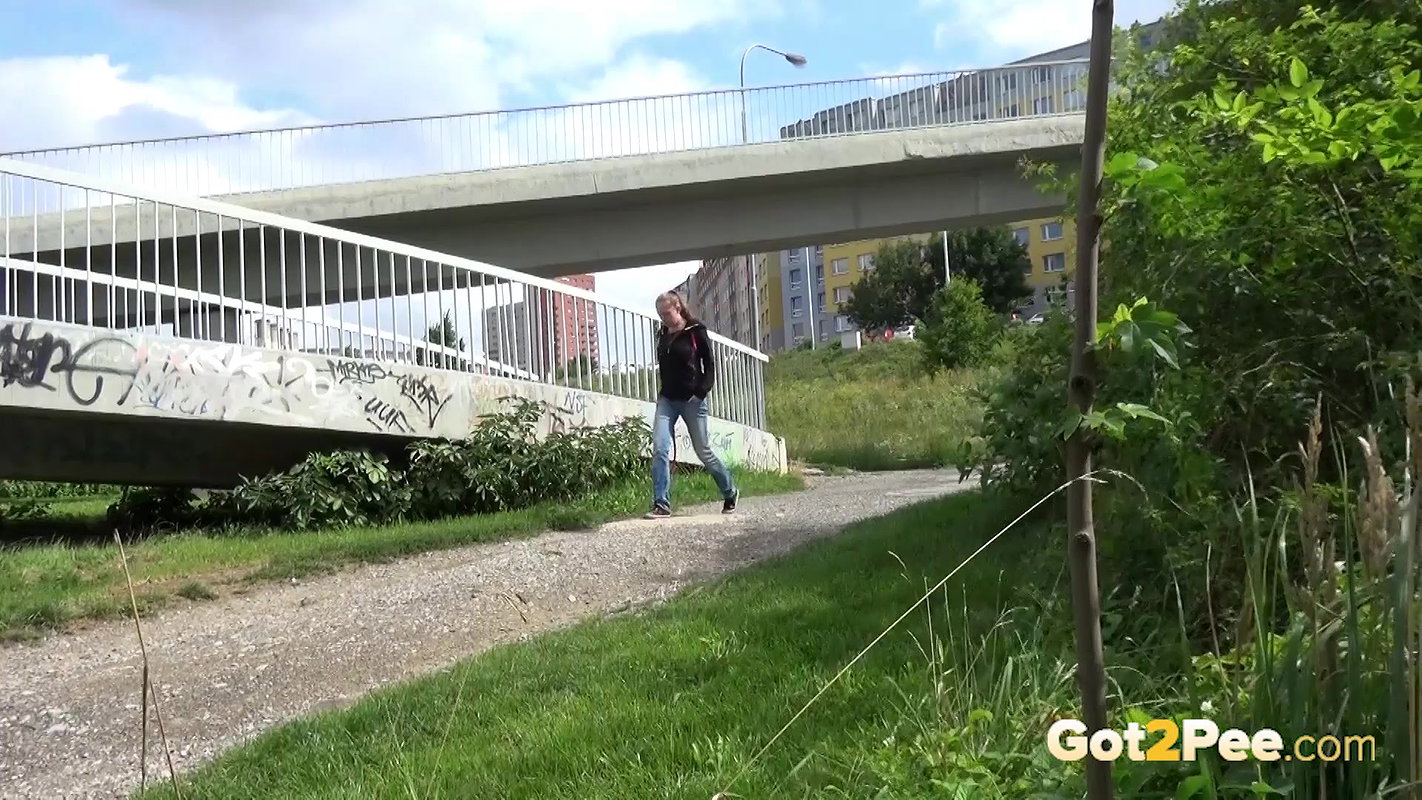 Golden Arch 1080p Got2pee Com