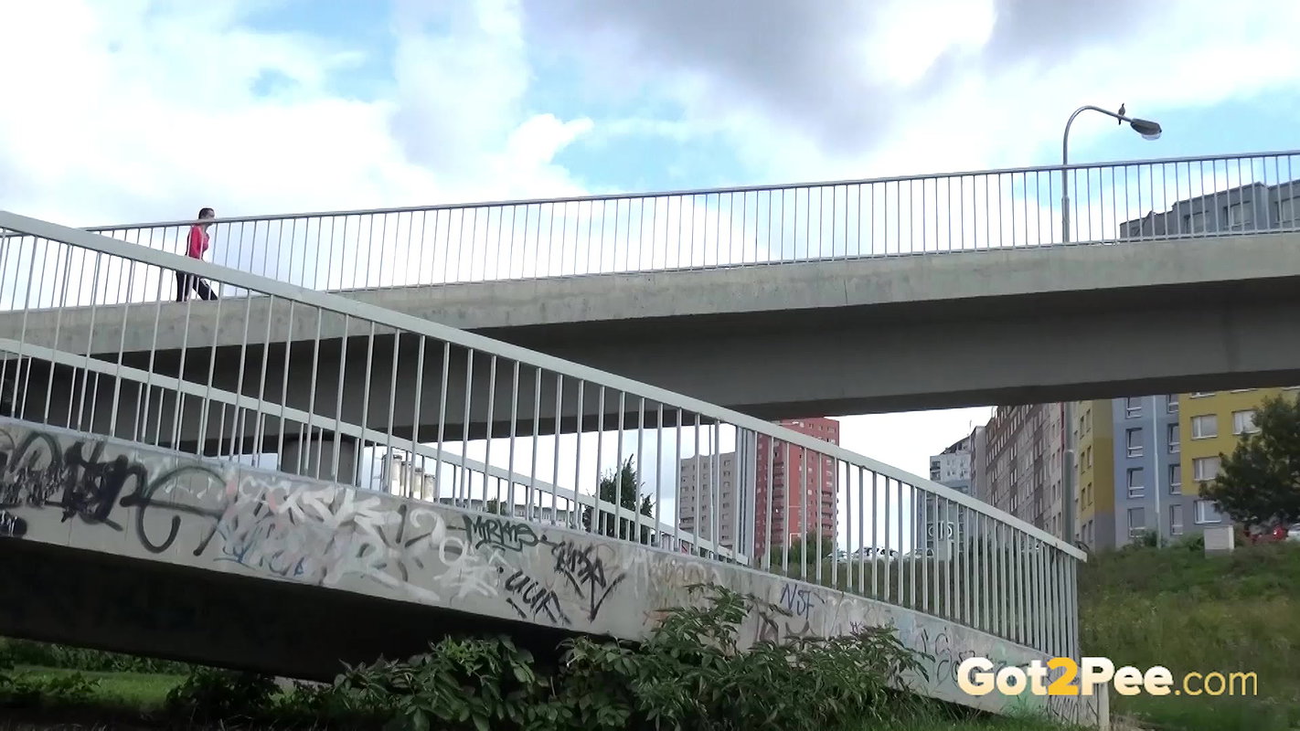 Golden Arch 1080p Got2pee Com