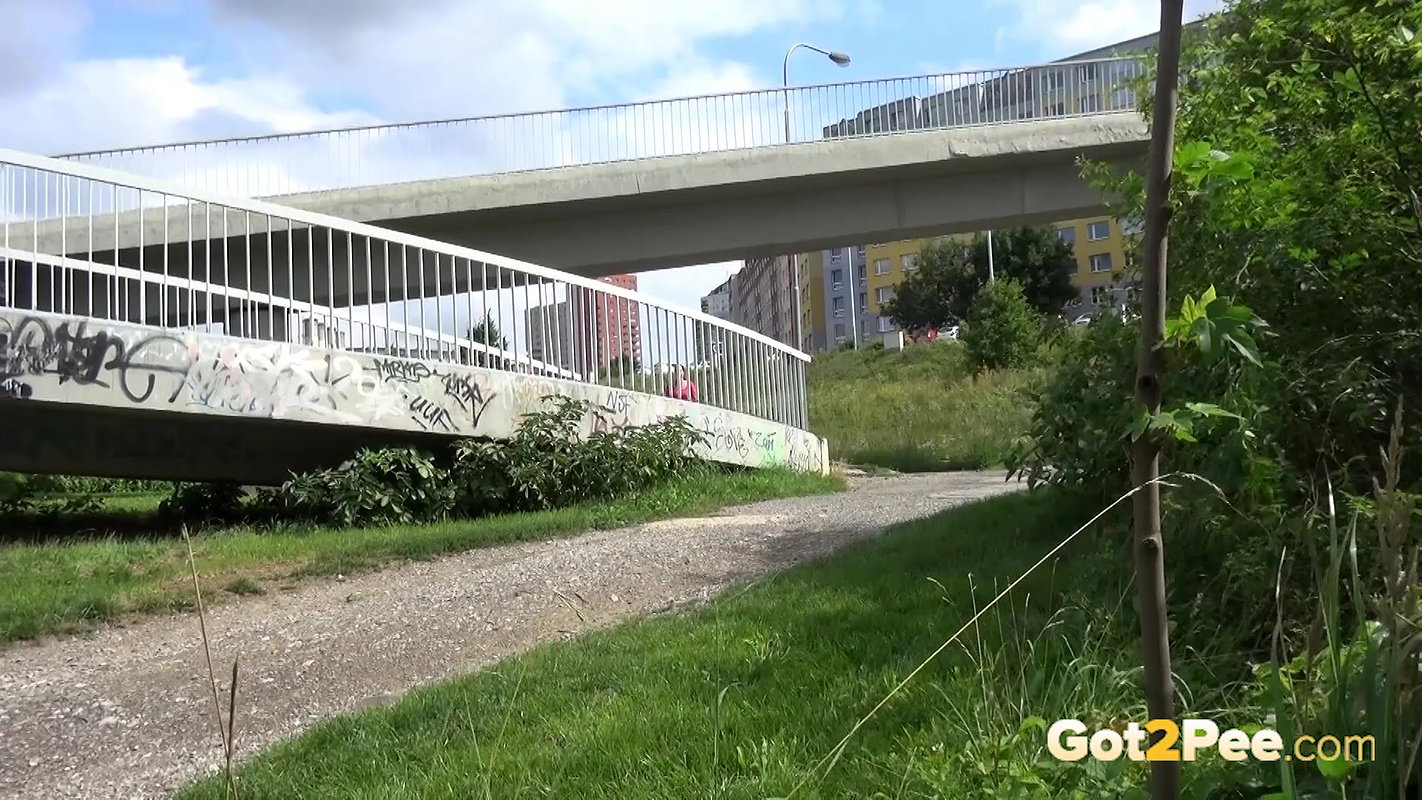 Golden Arch 1080p Got2pee Com