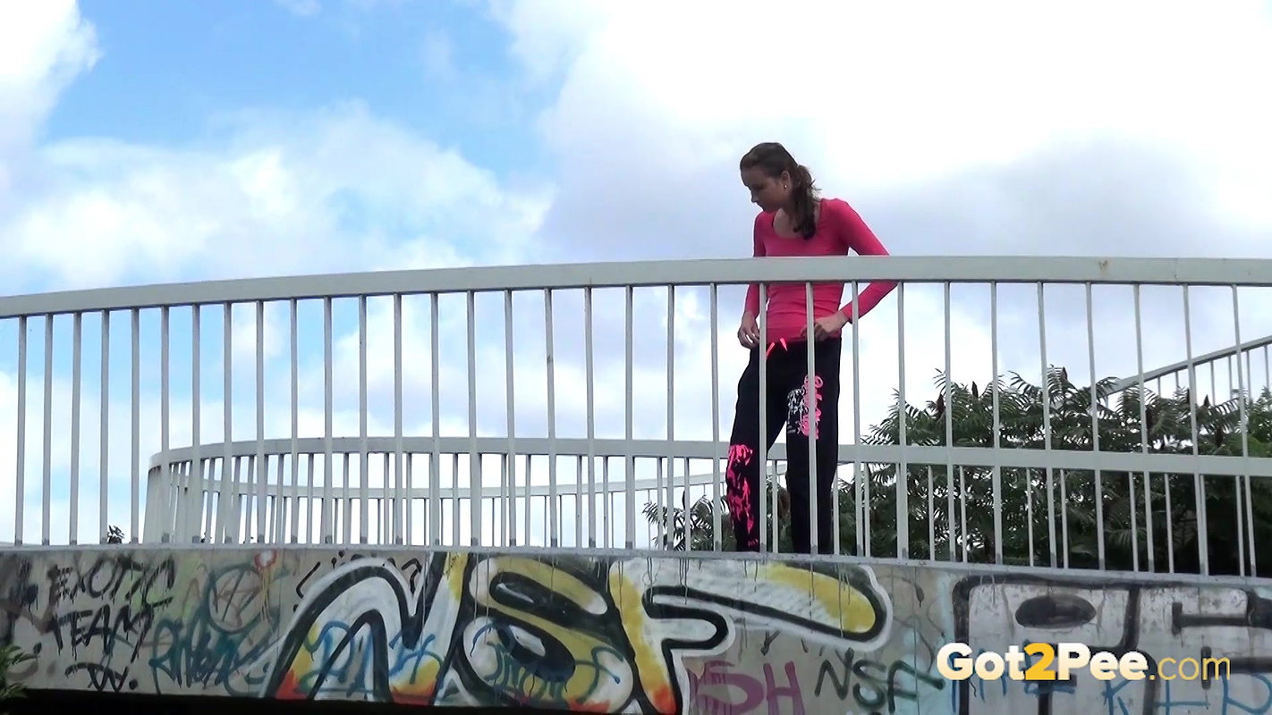 Golden Arch 1080p Got2pee Com