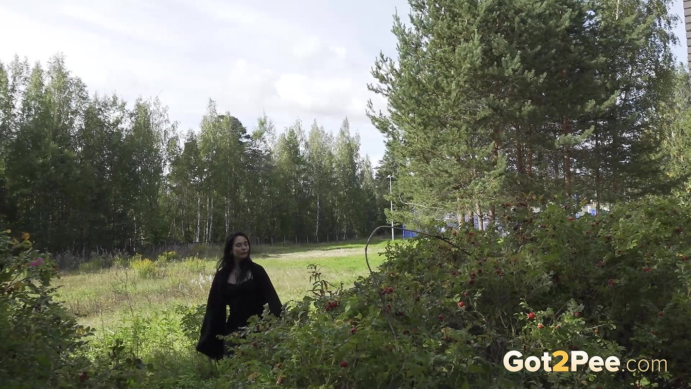 Gothic Relief 1080p Got2Pee Com
