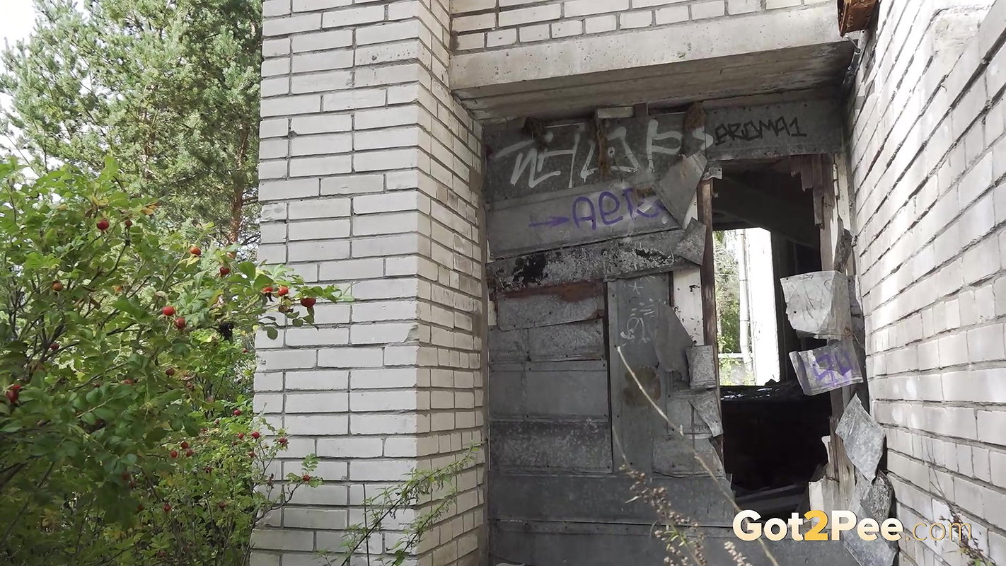 Gothic Relief 1080p Got2Pee Com