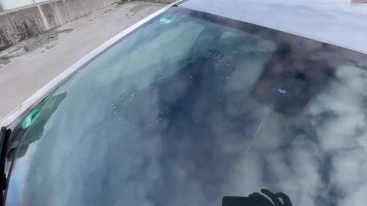 Laura Cat GEPISST im Auto Teil 2 JETZT NOCH KRASSER