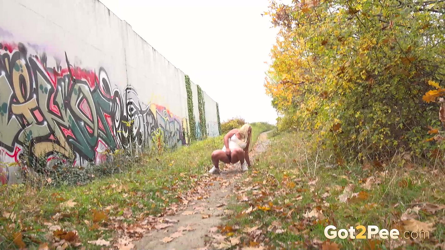 Leafy Path 1080p Got2Pee