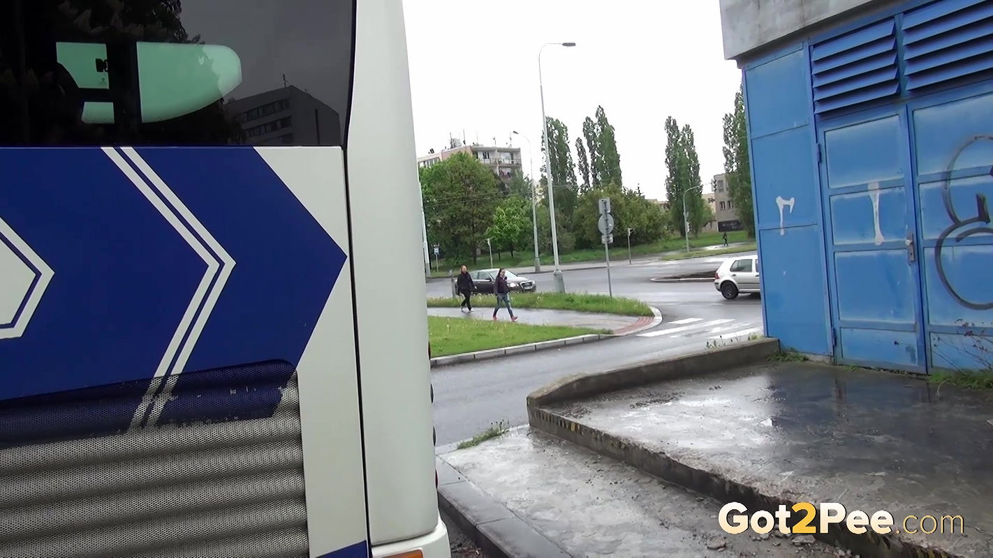 Librarian 1080p Got2pee Com