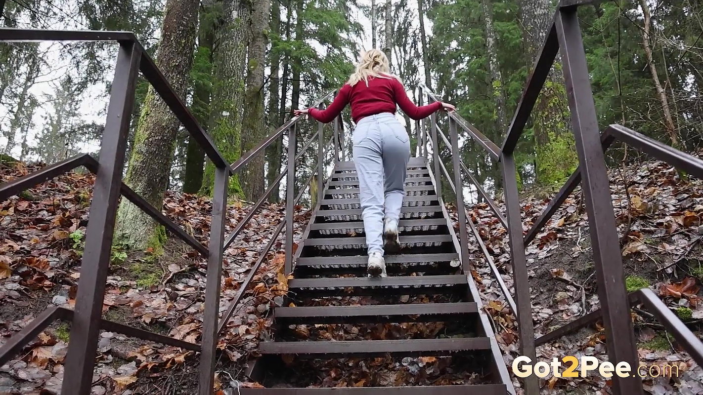 Messy Metal Steps Got2Pee