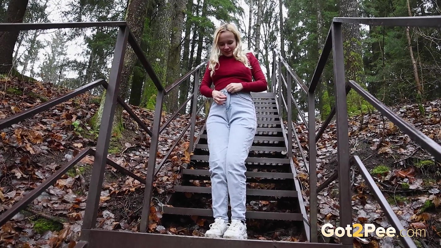 Messy Metal Steps Got2Pee