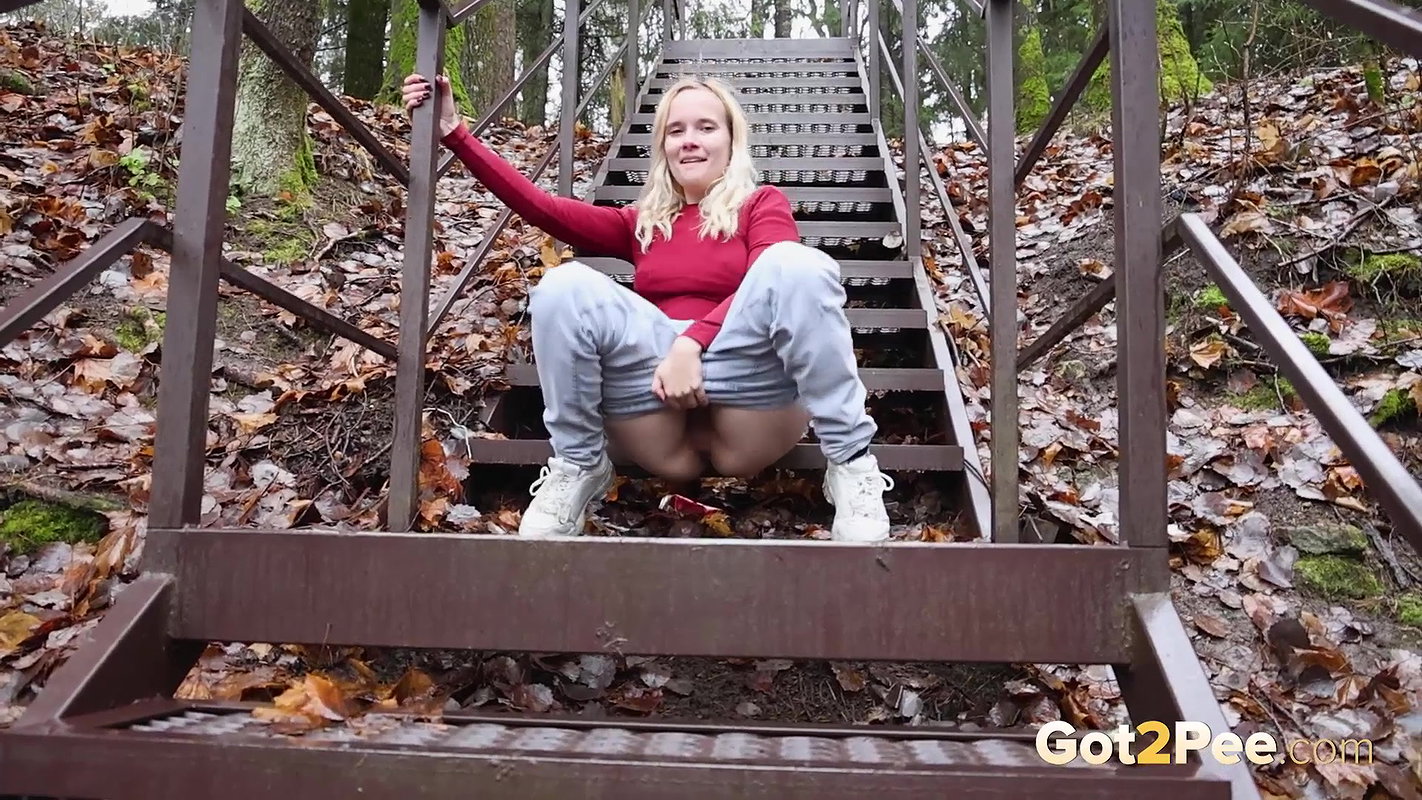 Messy Metal Steps Got2Pee