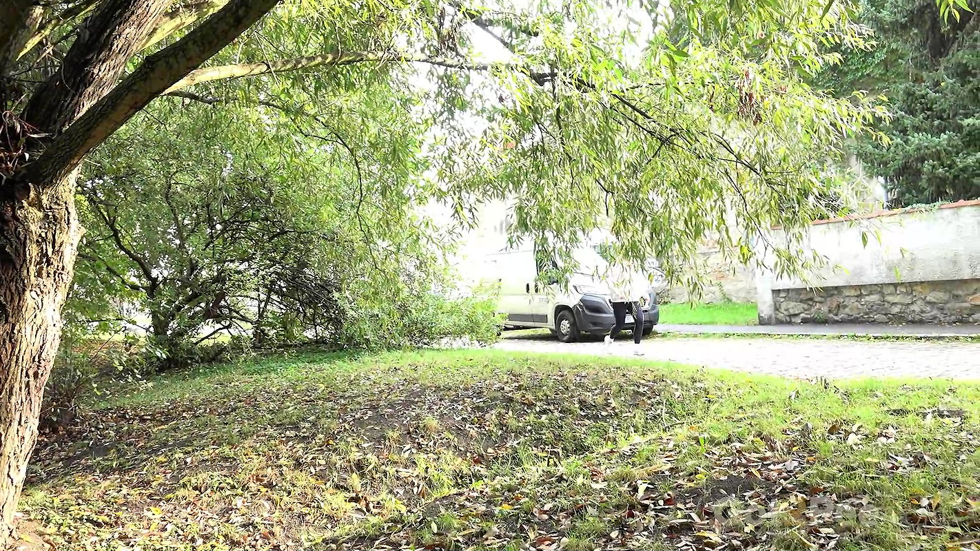 Nikki Dream Takes A Public Piss In Suburbs Got2pee