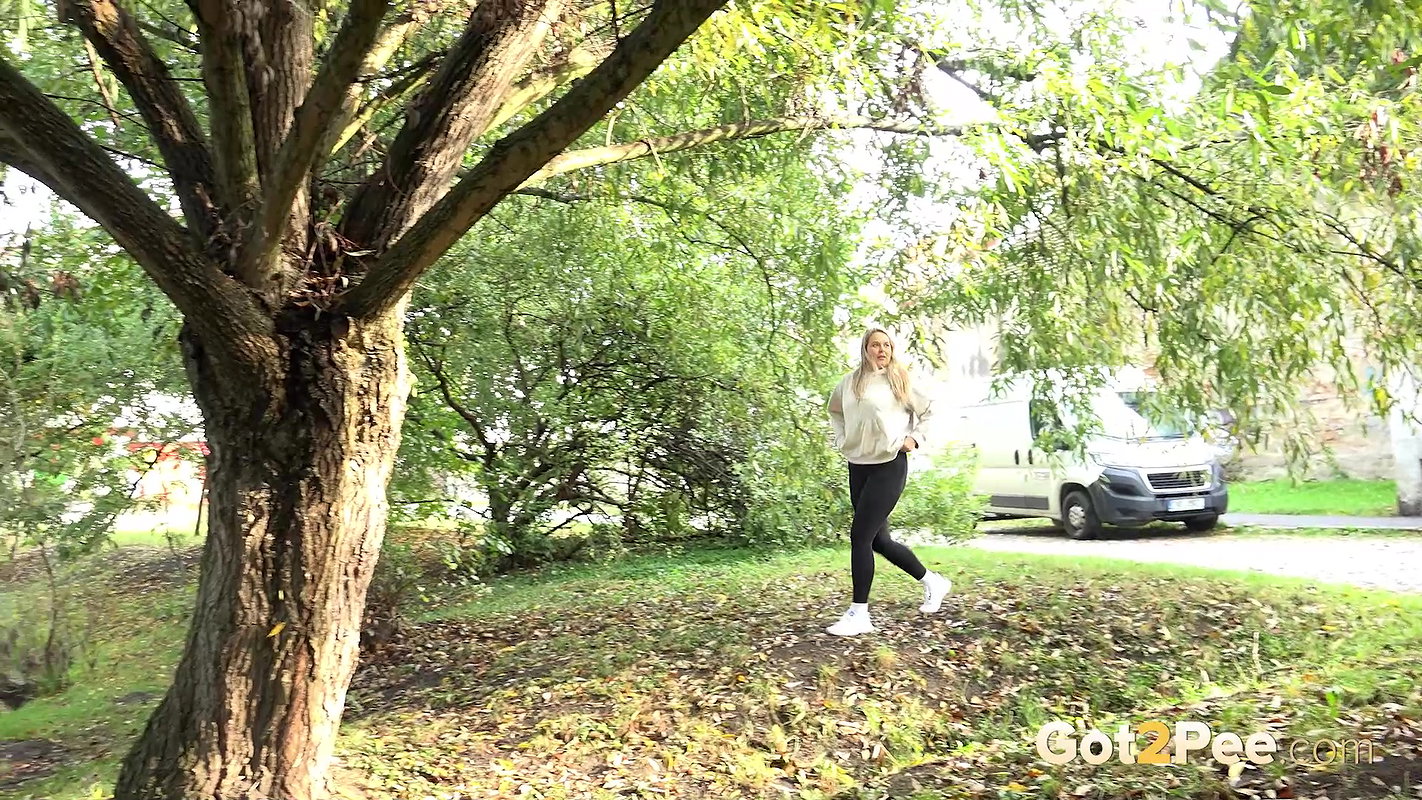 Nikki Dream Takes A Public Piss In Suburbs Got2pee