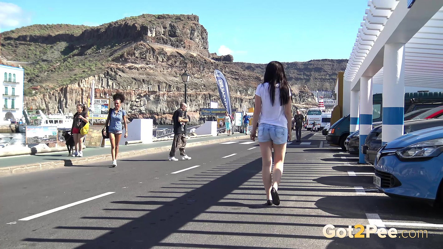 No Reversing 1080p Got2Pee Com