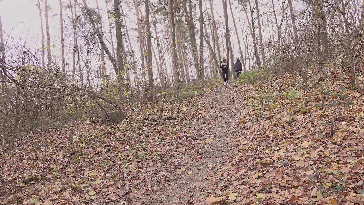 Over The Fallen Leaves 1080p Got2Pee