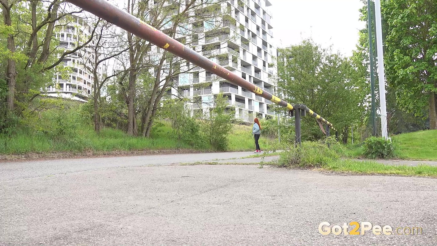 Overlooked 1080p Got2pee