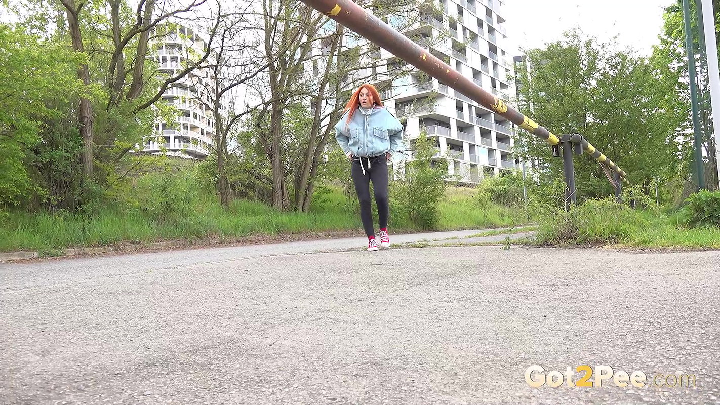 Overlooked 1080p Got2pee