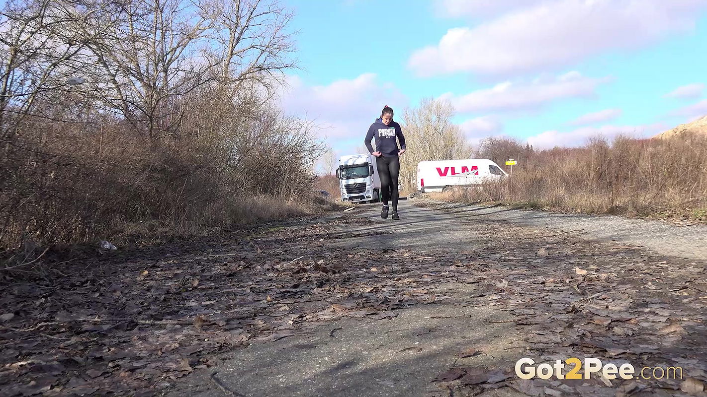 Parked Up 1080p Got2Pee Com