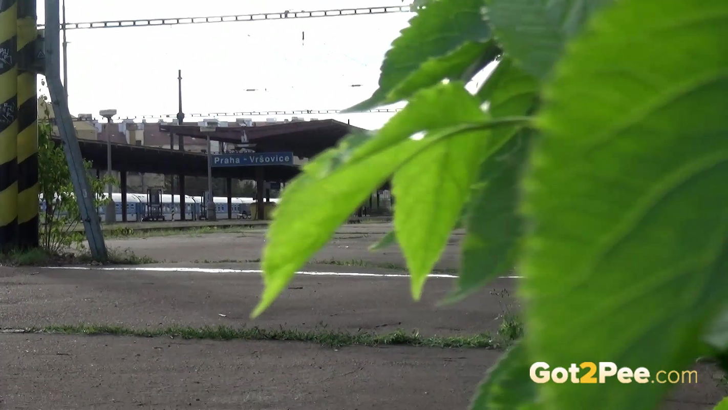 Passenger 1080p Got2pee Com